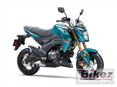 Kawasaki z deals pro